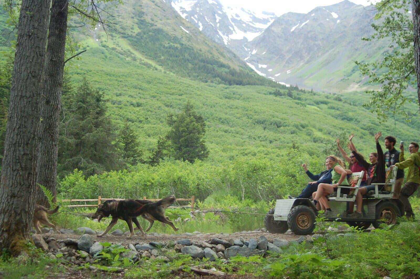 Alaska Dog Sled Tours Anchorage GIrdwood
